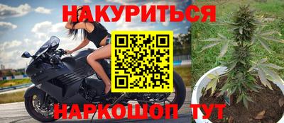 СК Канаш