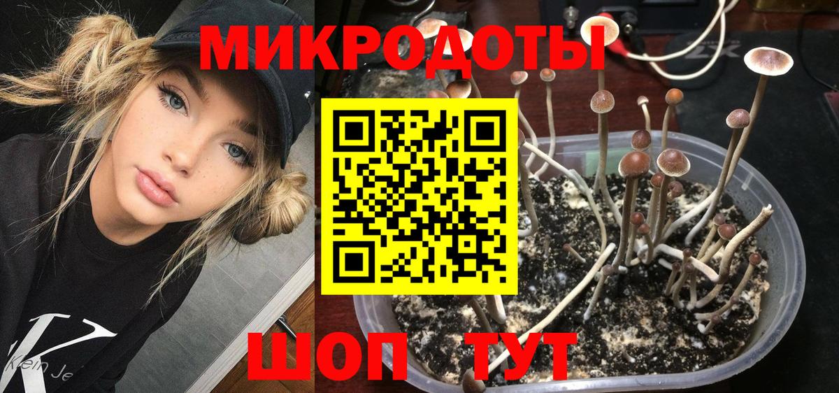 Курчалой  Псилоцибиновые грибы прущие грибы  Вход с VPN 
