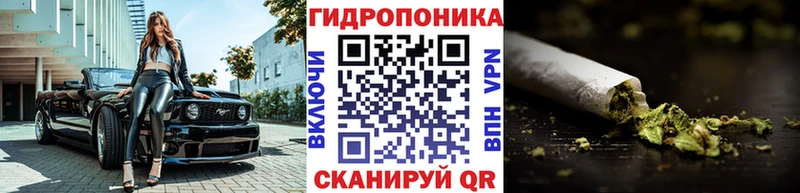 Конопля ГИДРОПОН  Курчалой 